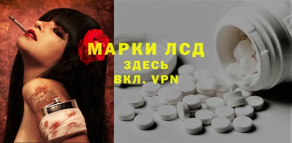 прущие грибы Михайловск