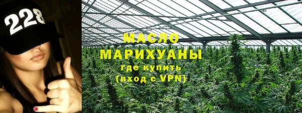 прущие грибы Михайловск