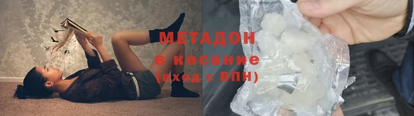 прущие грибы Михайловск