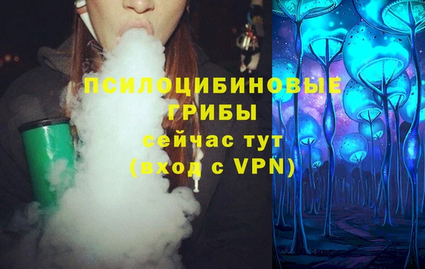 прущие грибы Михайловск