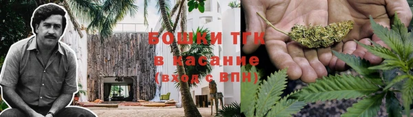 прущая мука Михайлов