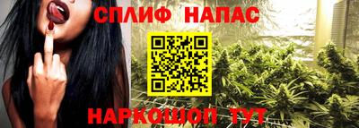 стаф Донецк