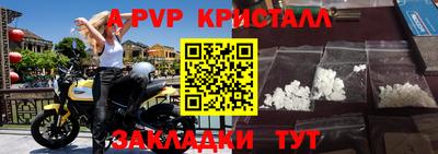 стаф Донецк