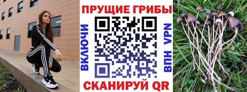 Псилоцибиновые грибы Magic Shrooms Кимовск