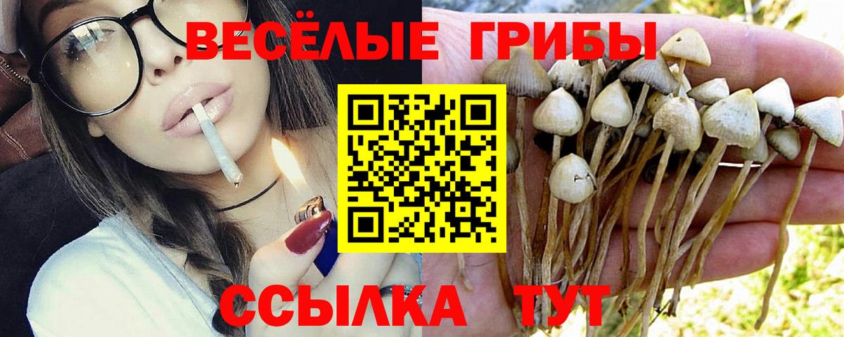 Псилоцибиновые грибы MAGIC MUSHROOMS  Кимовск 